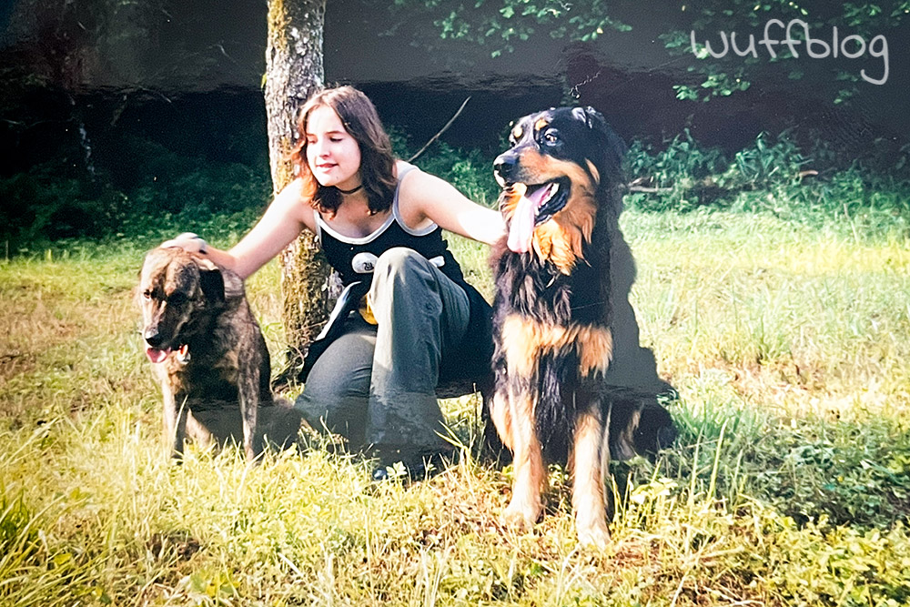 Waldspaziergang mit den Hunden (2002)