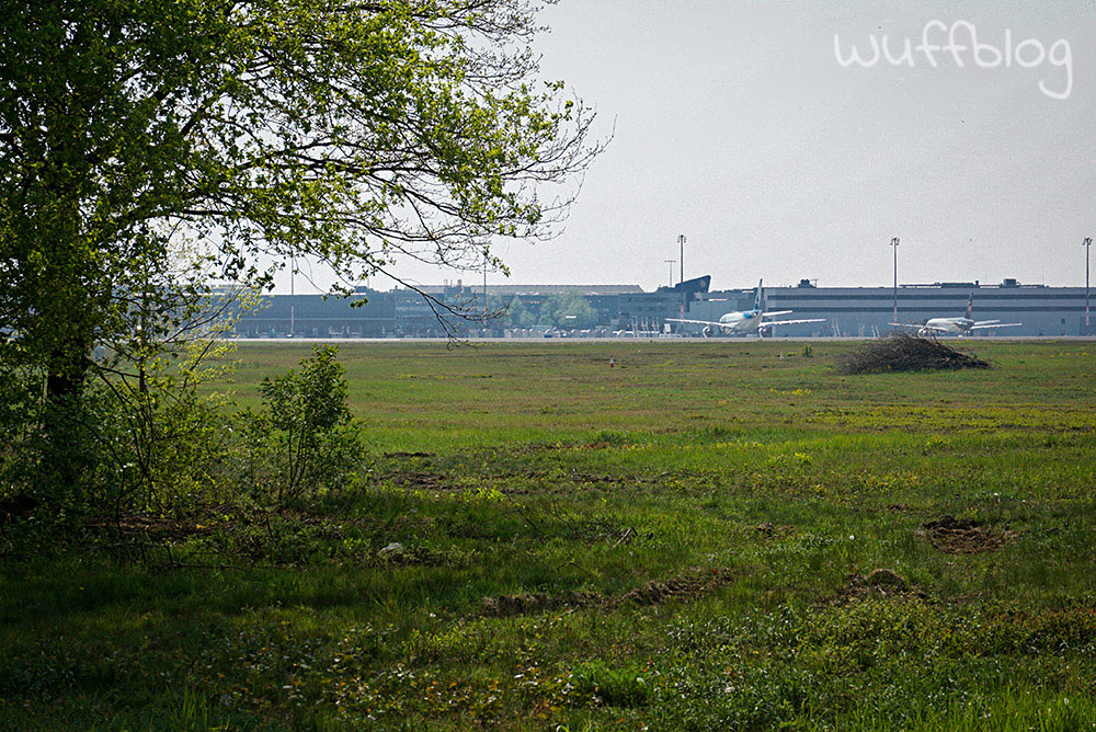 Wandern in der Wahner Heide - Flughafen